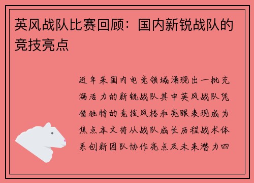 英风战队比赛回顾：国内新锐战队的竞技亮点