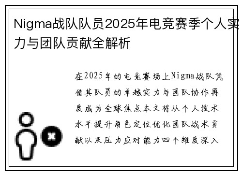 Nigma战队队员2025年电竞赛季个人实力与团队贡献全解析