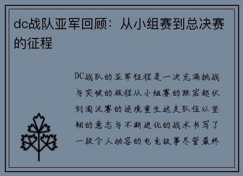 dc战队亚军回顾：从小组赛到总决赛的征程